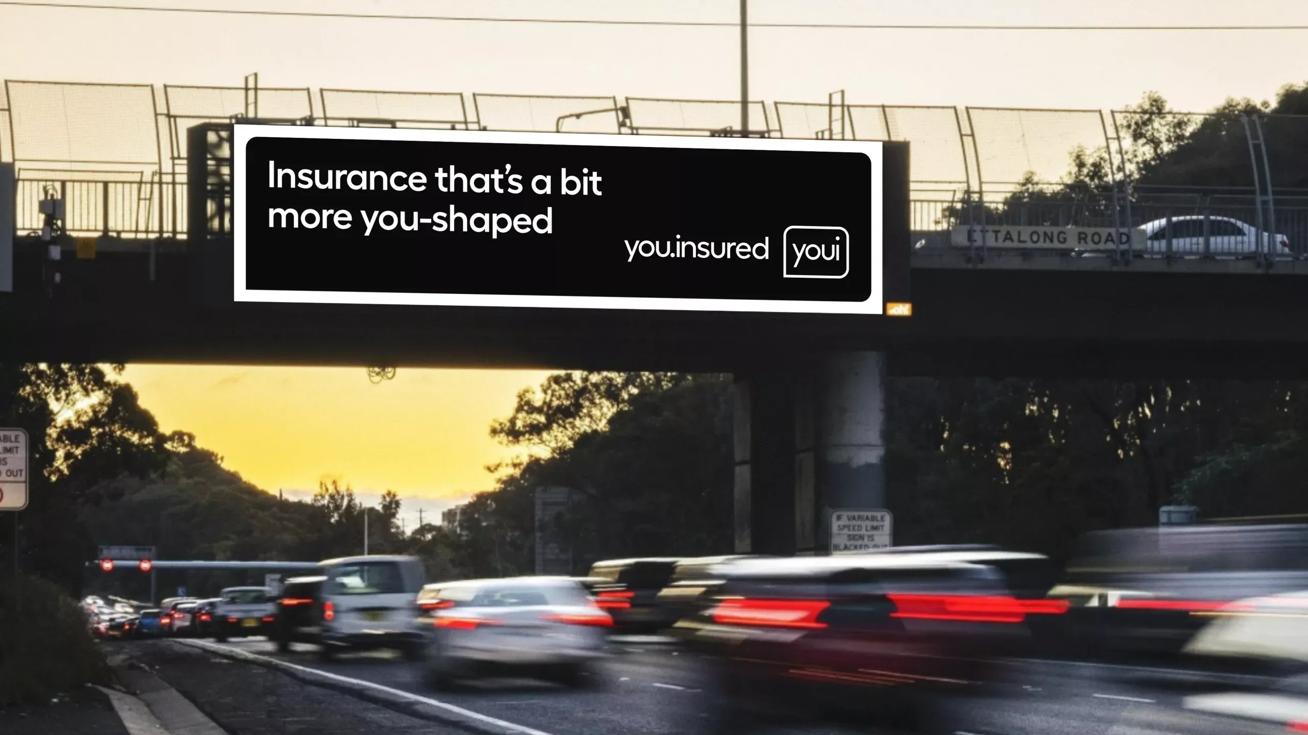 Youi: A bit more you-shaped