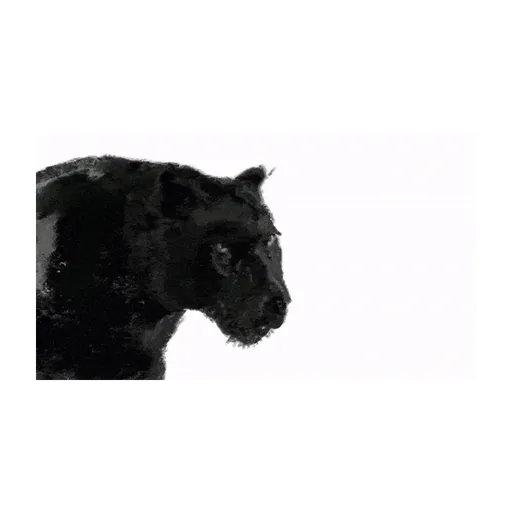 Black panther head, original