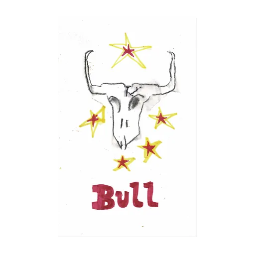 Bull skull stars, original