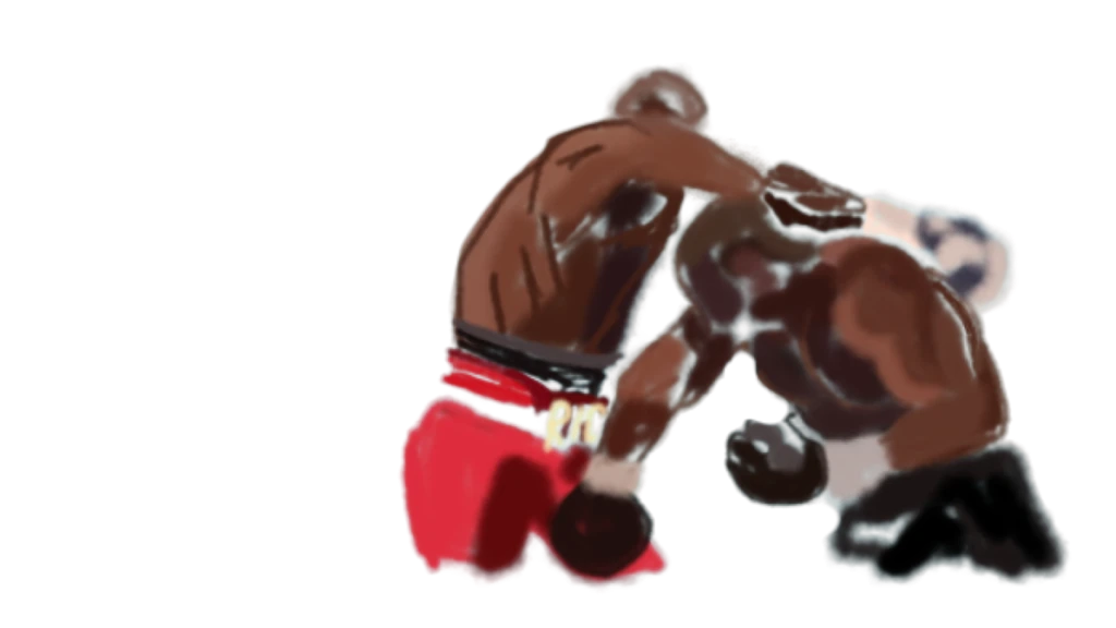 Boxers, transparent cutout