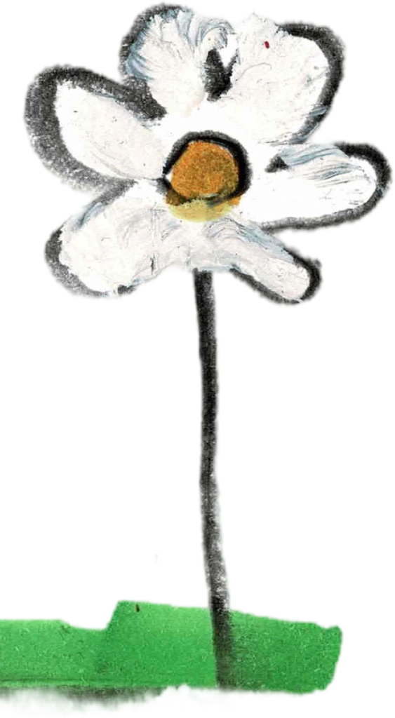 Painted daisies, single