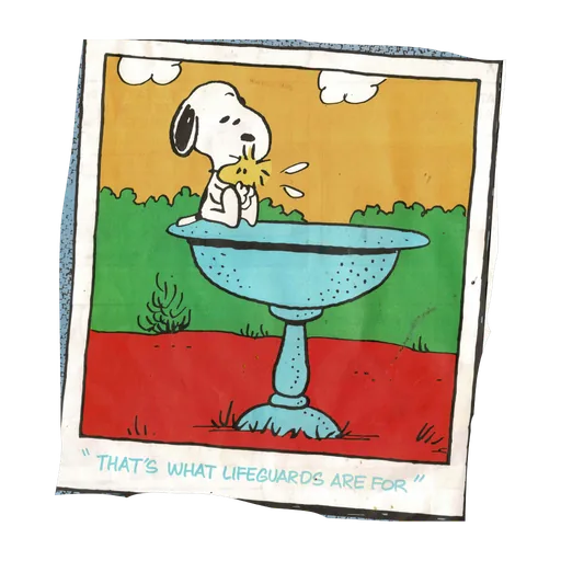 Snoopy, bath, original